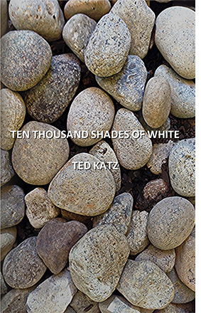 Ten Thousand Shades of White
